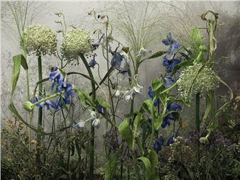 ONLINE: Tine Poppe: Gilded Lilies - Joseph Bellows Gallery, La Jolla