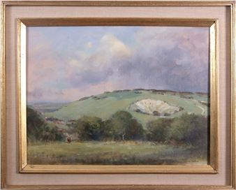 Newtimber Hill S.Downs Sussex