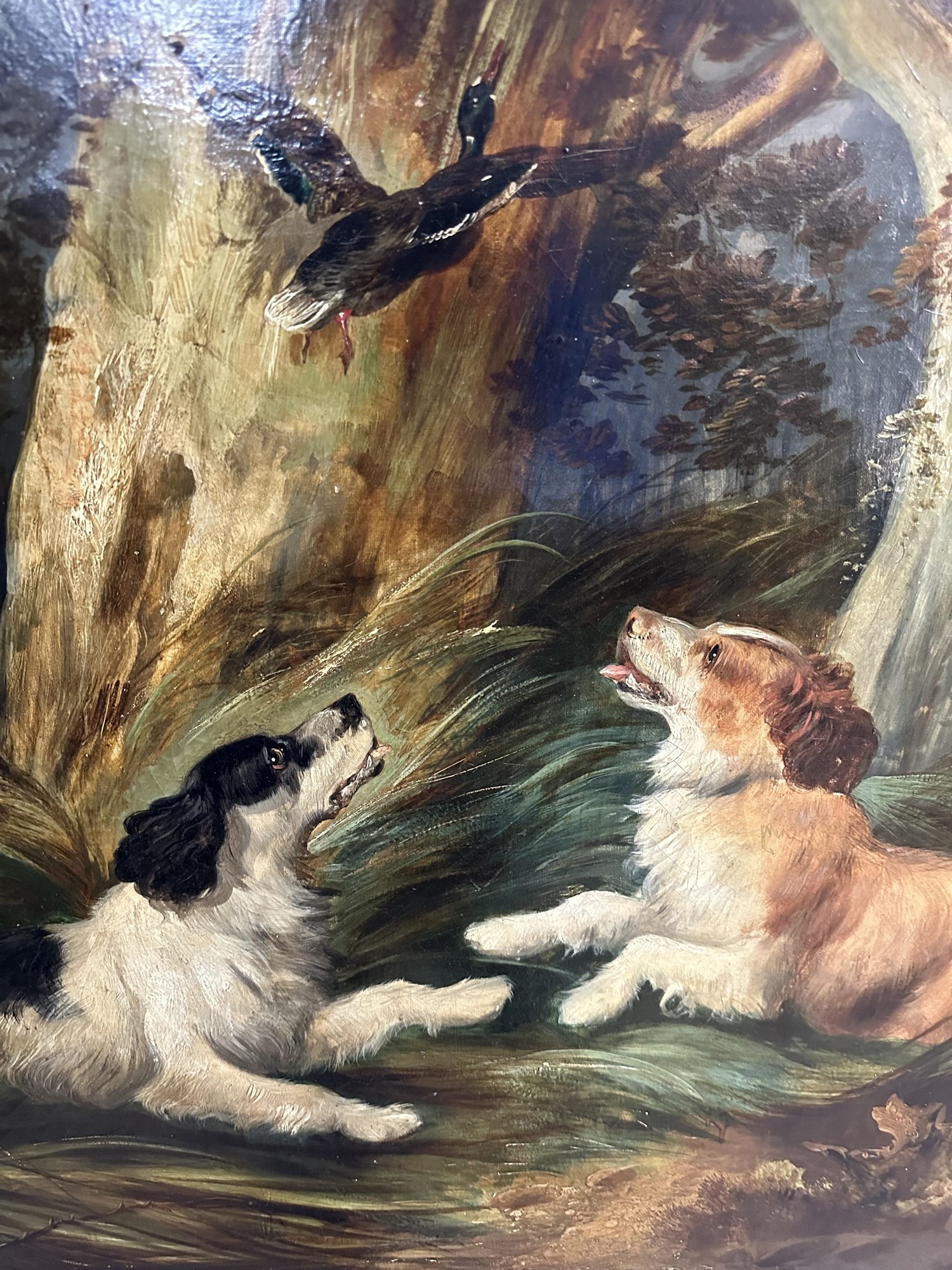 Photo inspiration: Picture Idea: Richard Ansdell Gun Dogs Flushing Duck