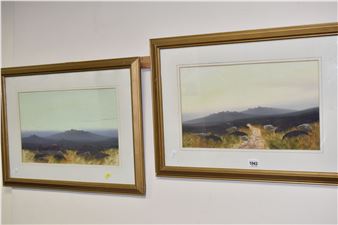 NEAR OKEHAMPTON, DARTMOOR - Monica Macivor