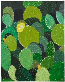 Cactus Blooms