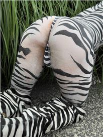 ‘Tragedy, humour, beauty, absurdity’: Juergen Teller on his major new show