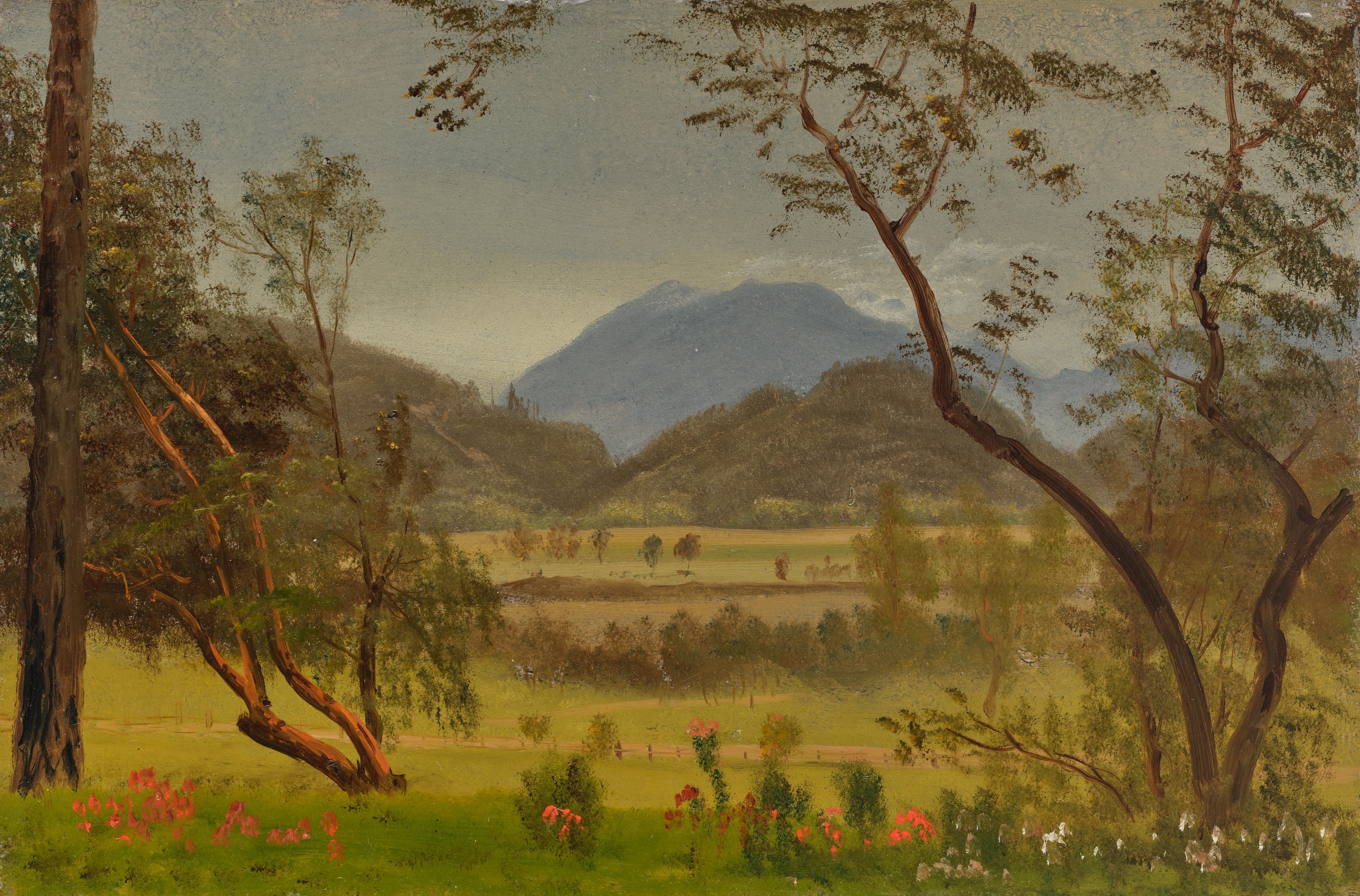Artwork by Albert Bierstadt, Napa Valley, California, Made of oil on paper mounted to board