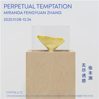 Miranda Fengyuan Zhang: Perpetual Temptation