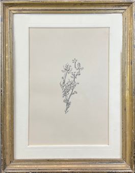 Riesenblattlaus - Paul Klee