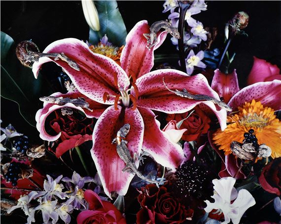 Untitled - Nobuyoshi Araki