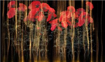 Pace announces booth highlights for Abu Dhabi Art 2025