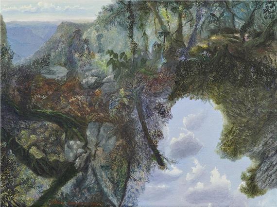 Rainforest and Beech Trees by William Robinson, 2004