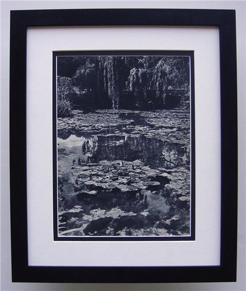 Monet's Garden 1937-1940 Photogravure - Claude Monet