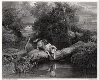 The Dog & his Shadow