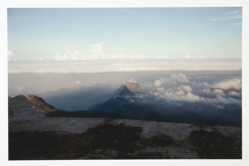 Artwork by Norbert Schwontkowski, Flug, Made of Fotografien