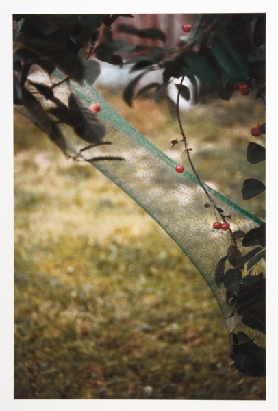 Artwork by Norbert Schwontkowski, Flug, Made of Fotografien