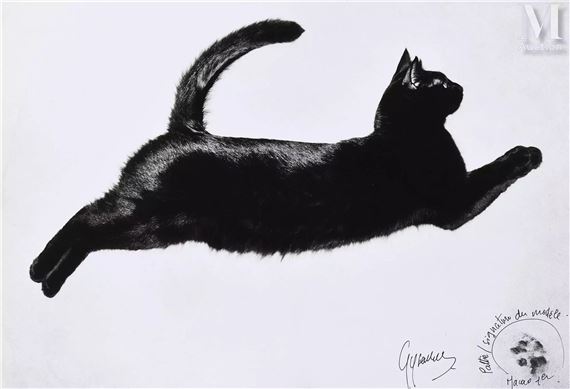 Macao 1, portrait du chat bondissant by Benoit Gysembergh, c. 1990