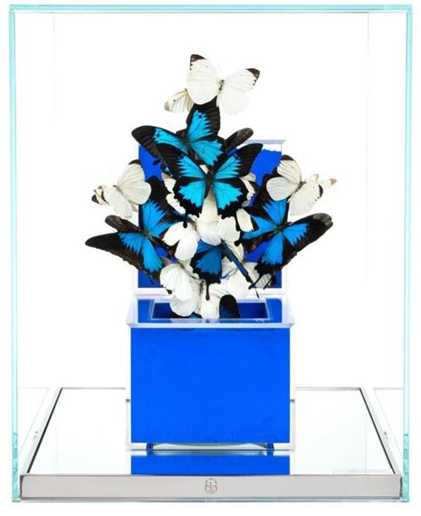 Bleu Klein Indonesia Pure by Roman Feral, 2024