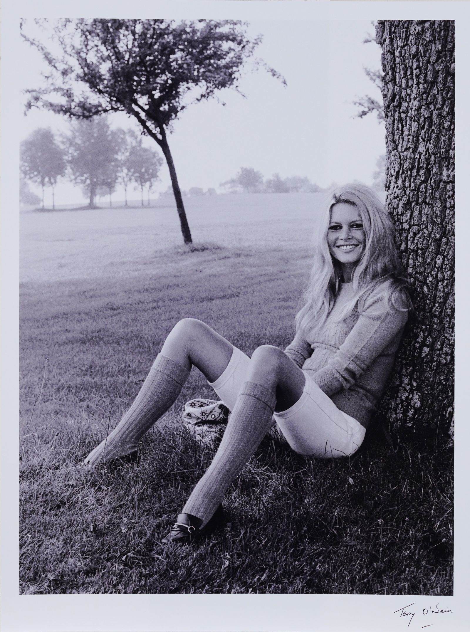 Terry O'Neill | Brigitte Bardot (1971) | MutualArt