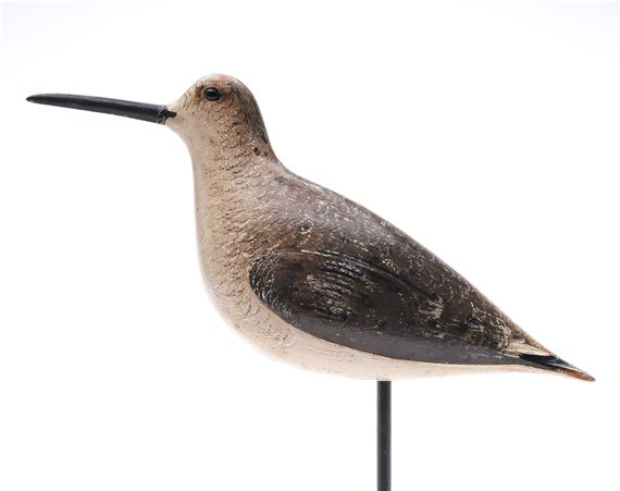 Dowitcher in winter plumage by John Dilley