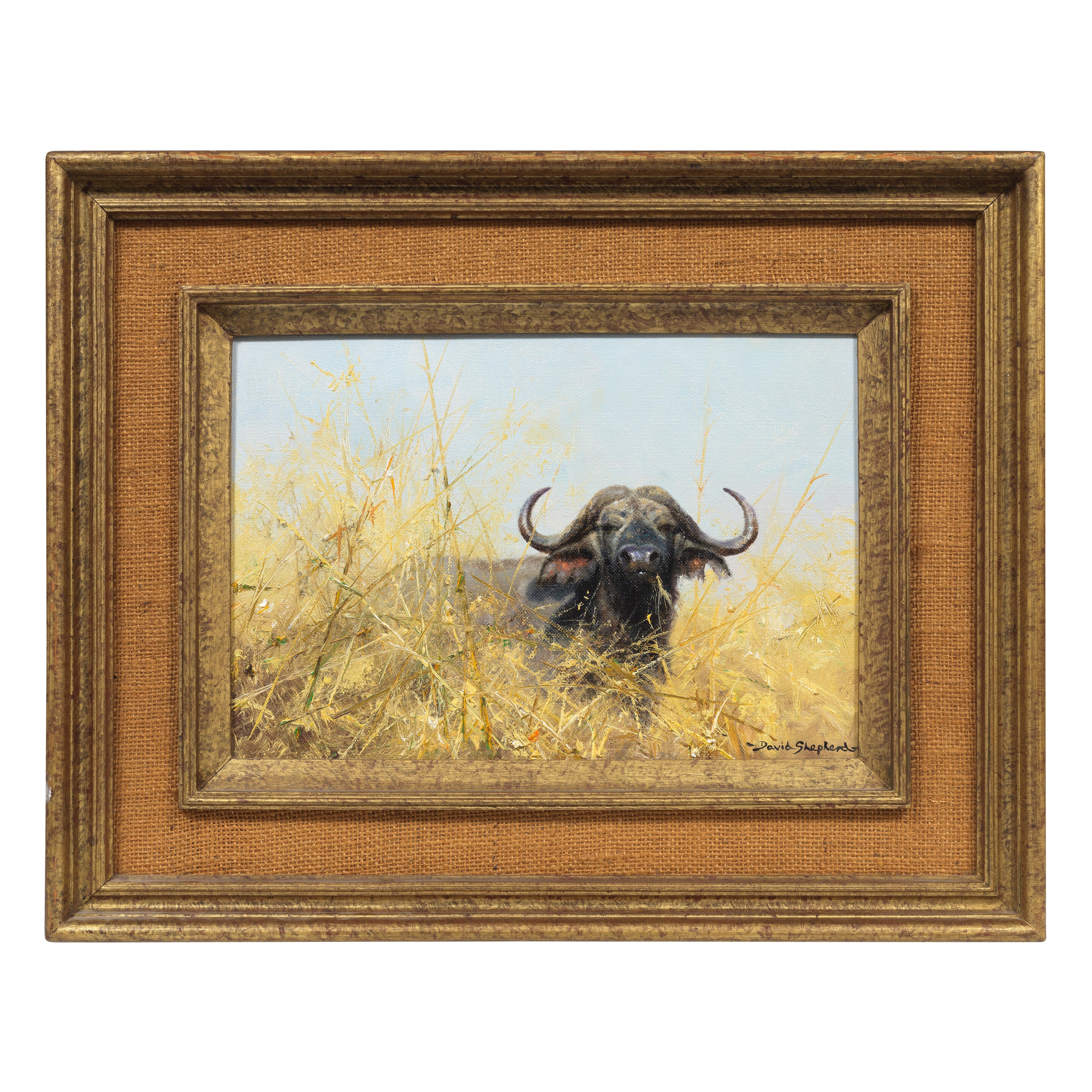 David Shepherd | Buffalo (1979) | MutualArt