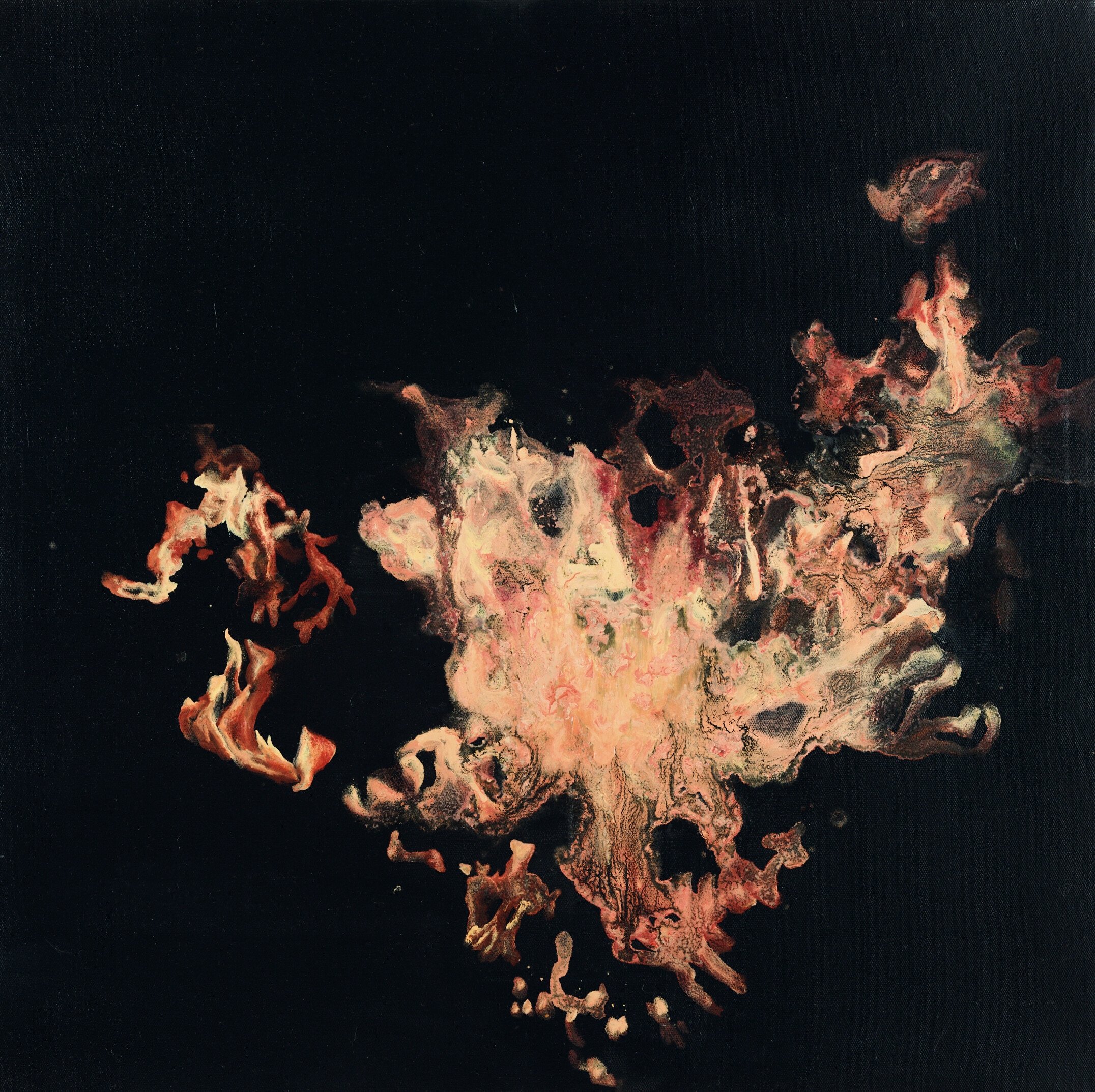Guo Hongwei | THE DARK SIDE-FIRE (2010) | MutualArt