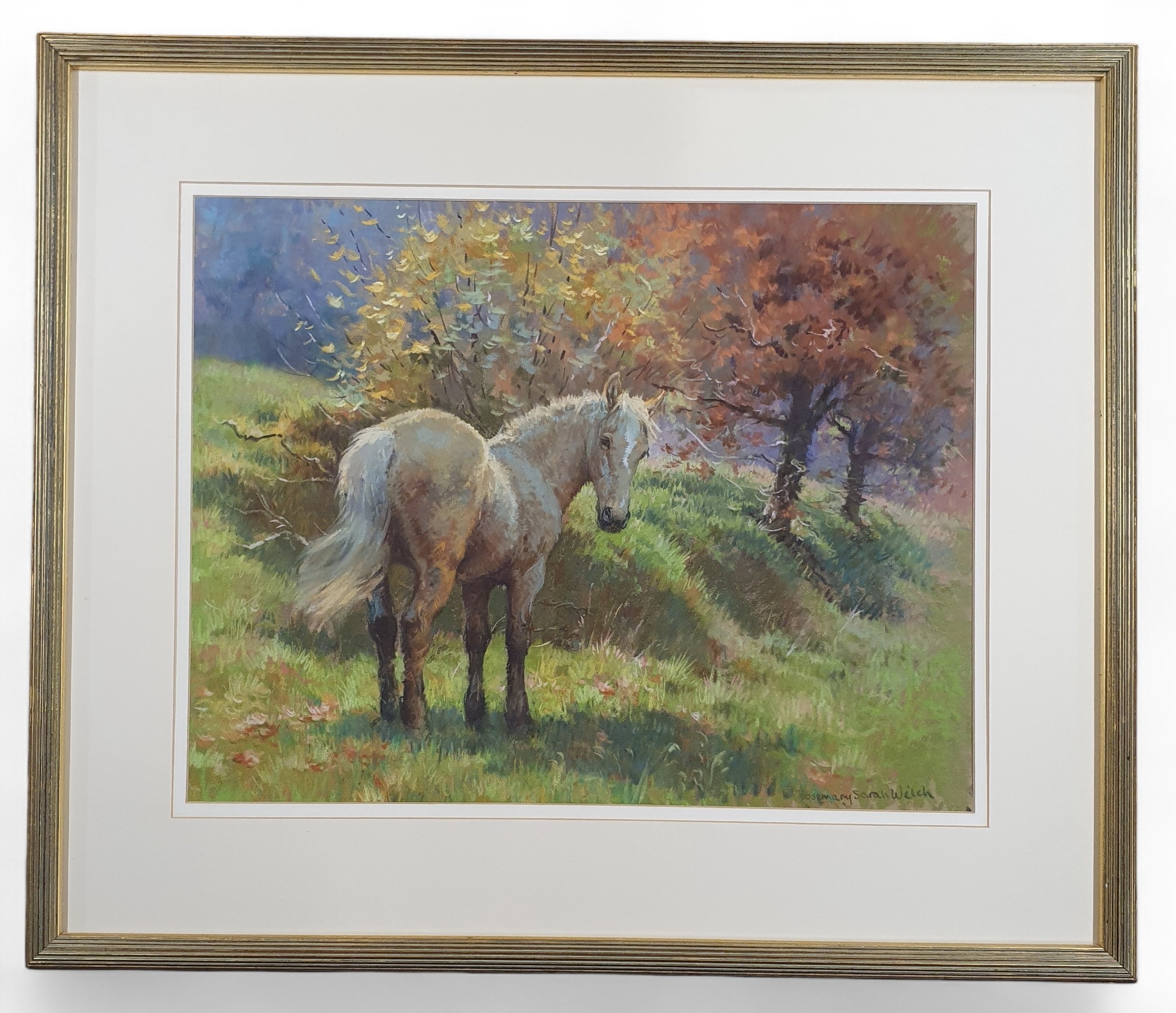Artwork by Rosemary Sarah Welch, A 20th Century Oil on Board of a Dun Pony in an orchard, Made of Oil On Board