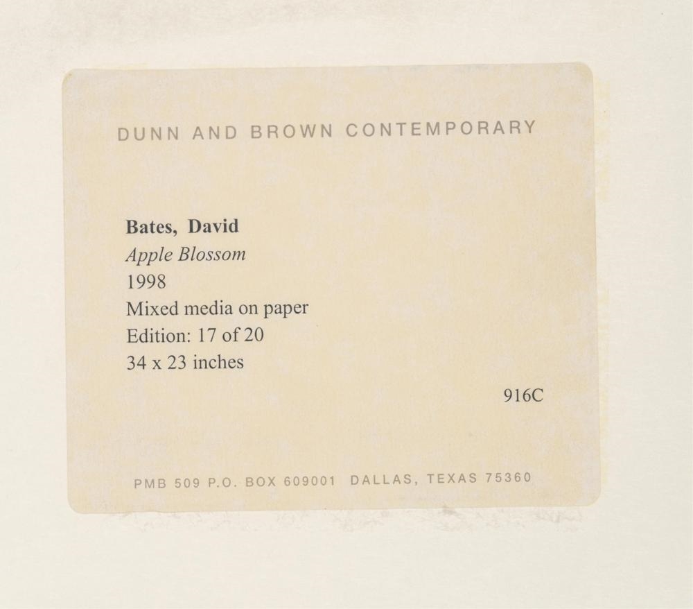 Artwork by David Bates, Apple Blossom, Made of Hand-Painted Mixed Media On Paper