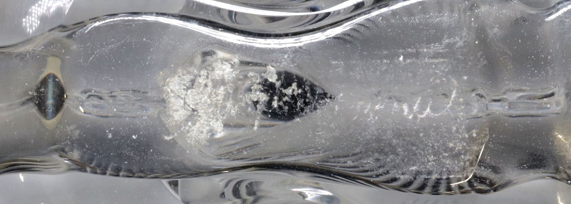 Artwork by René Lalique, Deux Fleurs & Thais, Made of Art Crystal