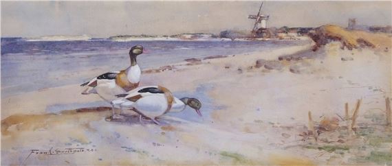 Shelducks along a coastline by Frank Southgate
