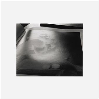 Book: Boy with Fruit by Caravaggio