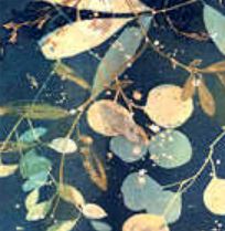 Rhonda Burton: All I see is blue - Tag Gallery