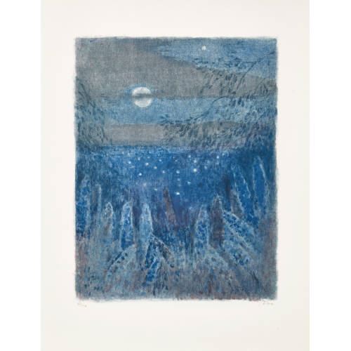 Nachtstimmung; Wintersport by Leonhard Meisser