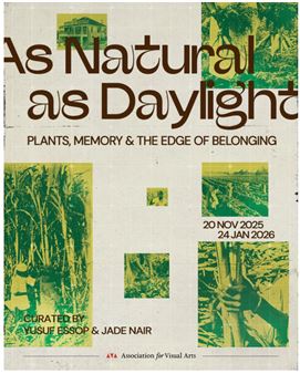 As Natural As Daylight: Plants, Memory and The Edge of Belonging - Association for Visual Arts Gallery