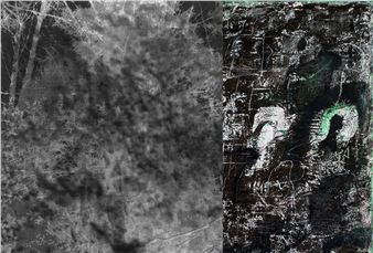 Gerhard Hoehme & Delia Jürgens: Like Wolves on the Fold - Galerie Georg Nothelfer