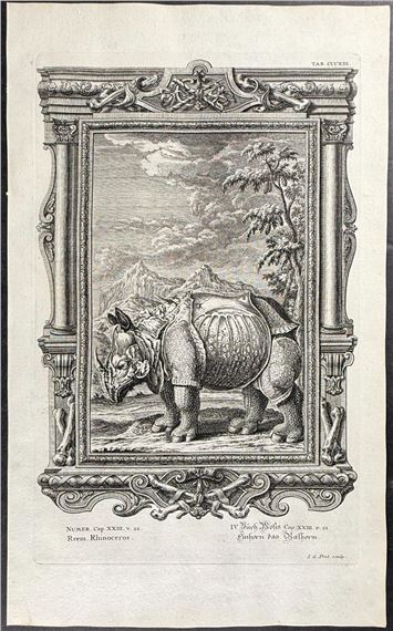 Rhinoceros (after Albrecht Durer) - Albrecht Dürer