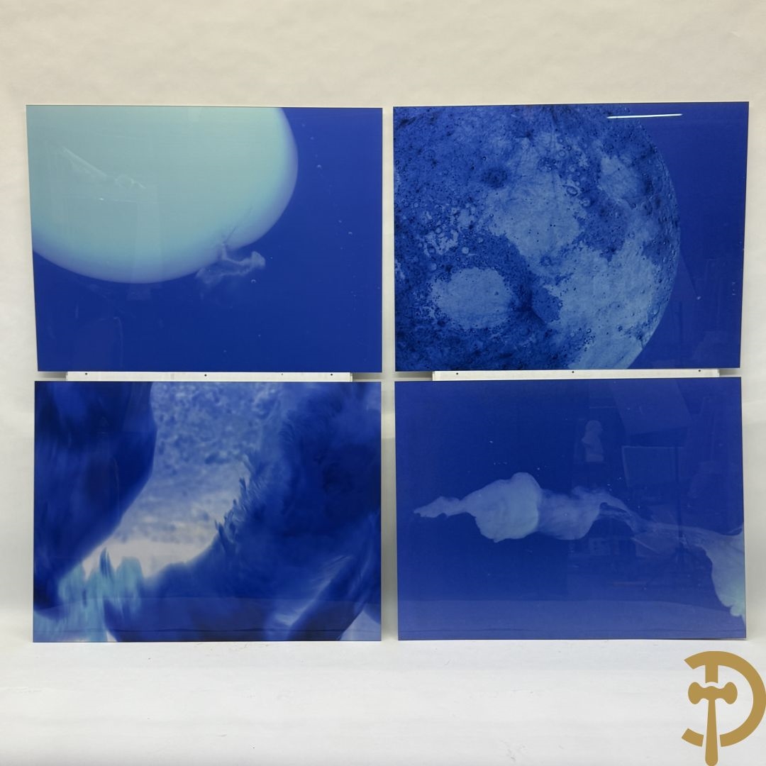 Artwork by Koen Vanmechelen, Fertility, Made of Lambda Print On Metallic Paper