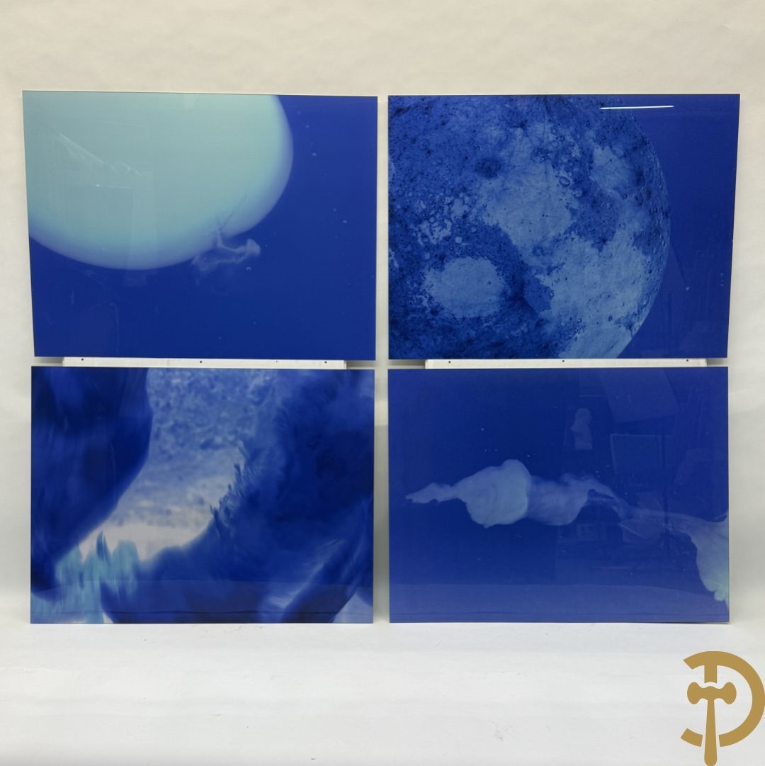 Artwork by Koen Vanmechelen, Fertility, Made of Lambda Print On Metallic Paper