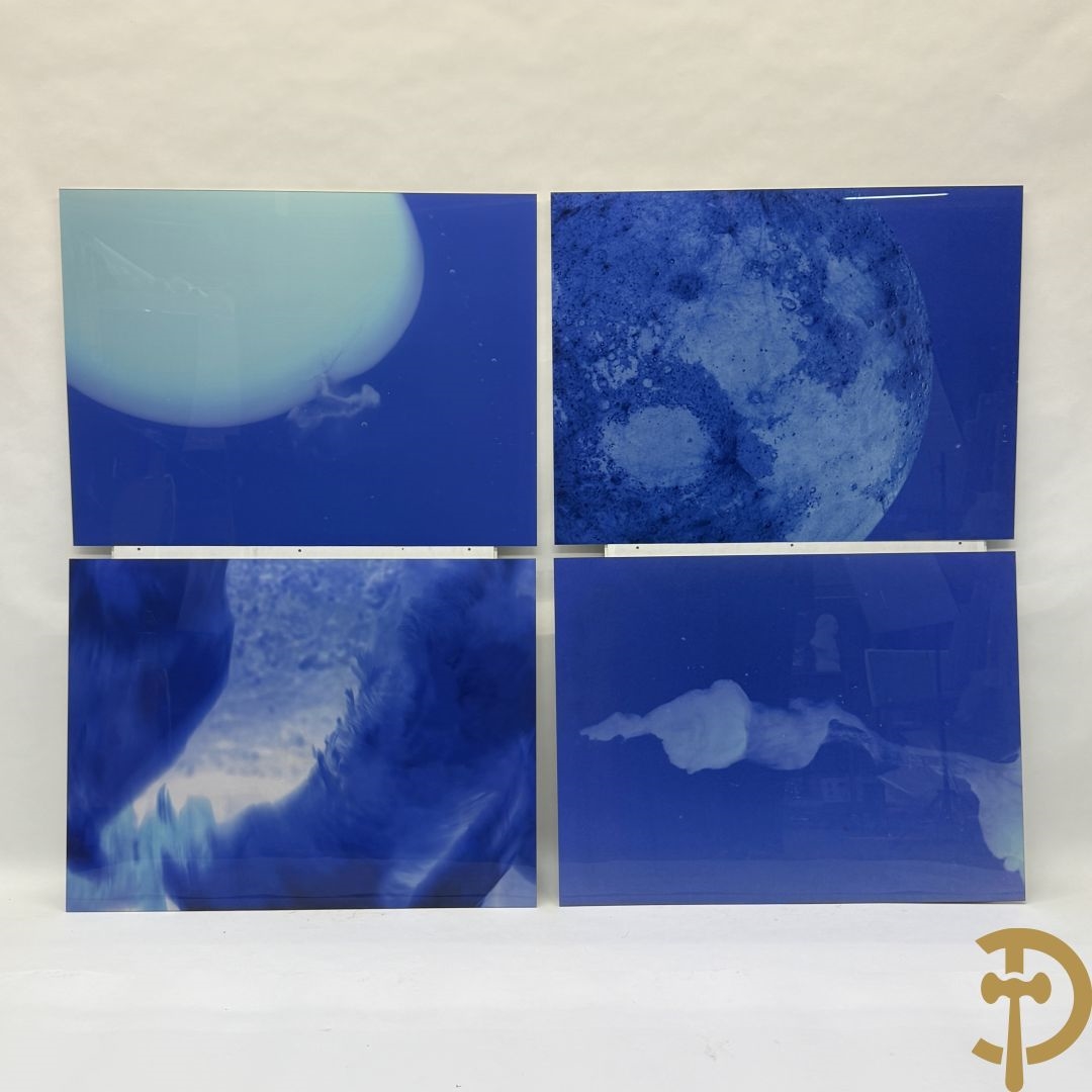 Artwork by Koen Vanmechelen, Fertility, Made of Lambda Print On Metallic Paper