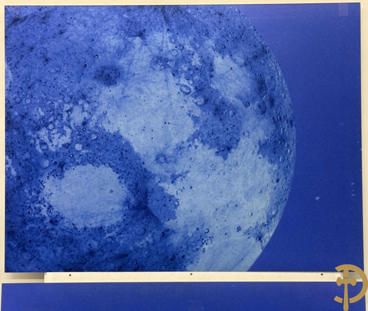 Artwork by Koen Vanmechelen, Fertility, Made of Lambda Print On Metallic Paper