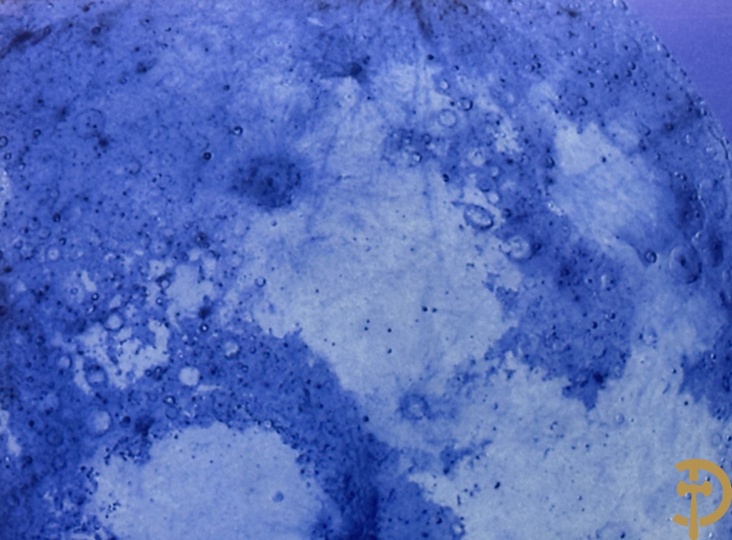 Artwork by Koen Vanmechelen, Fertility, Made of Lambda Print On Metallic Paper