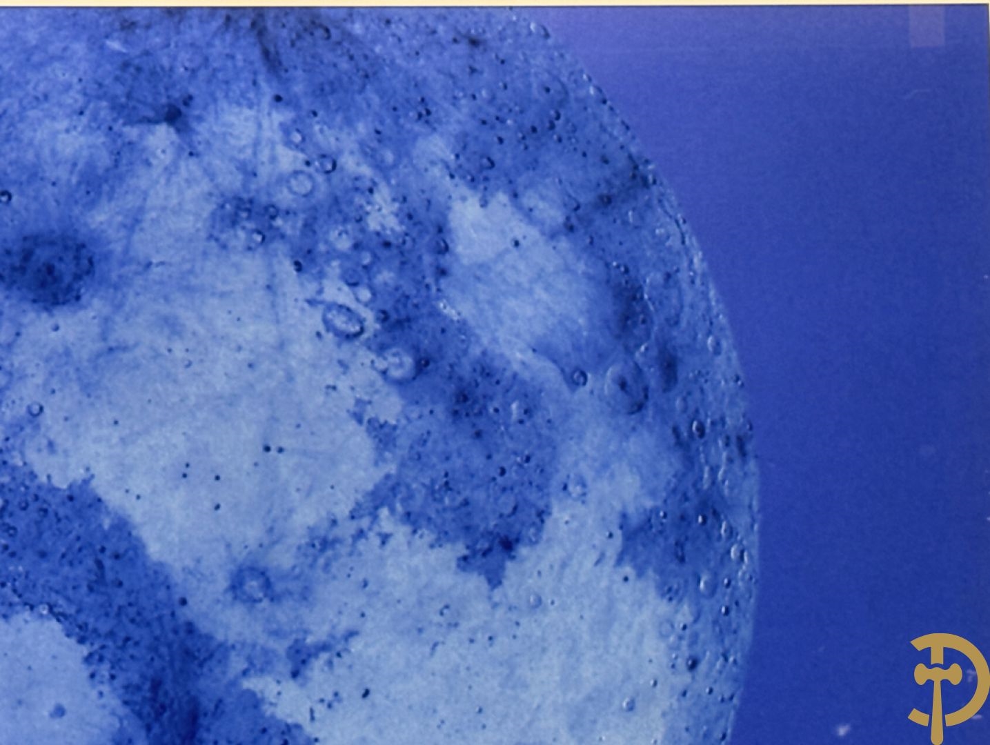 Artwork by Koen Vanmechelen, Fertility, Made of Lambda Print On Metallic Paper