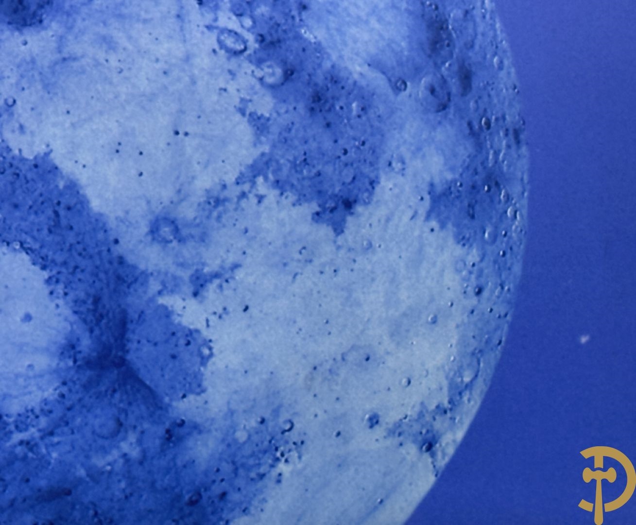 Artwork by Koen Vanmechelen, Fertility, Made of Lambda Print On Metallic Paper