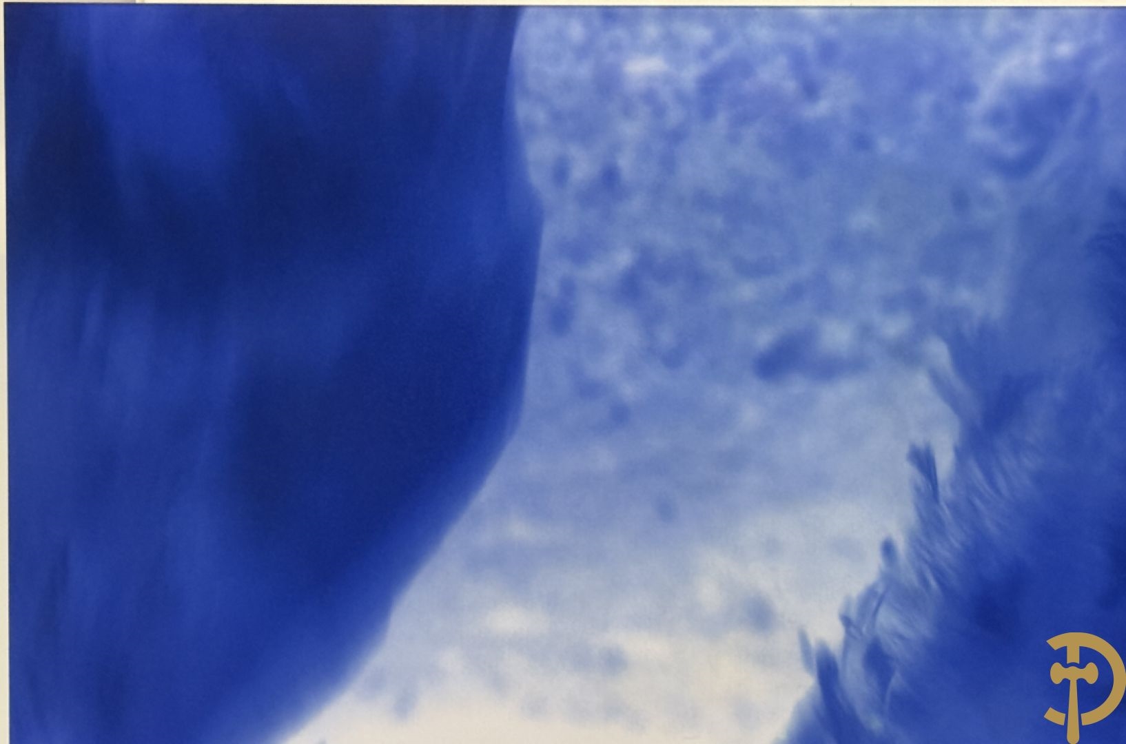 Artwork by Koen Vanmechelen, Fertility, Made of Lambda Print On Metallic Paper