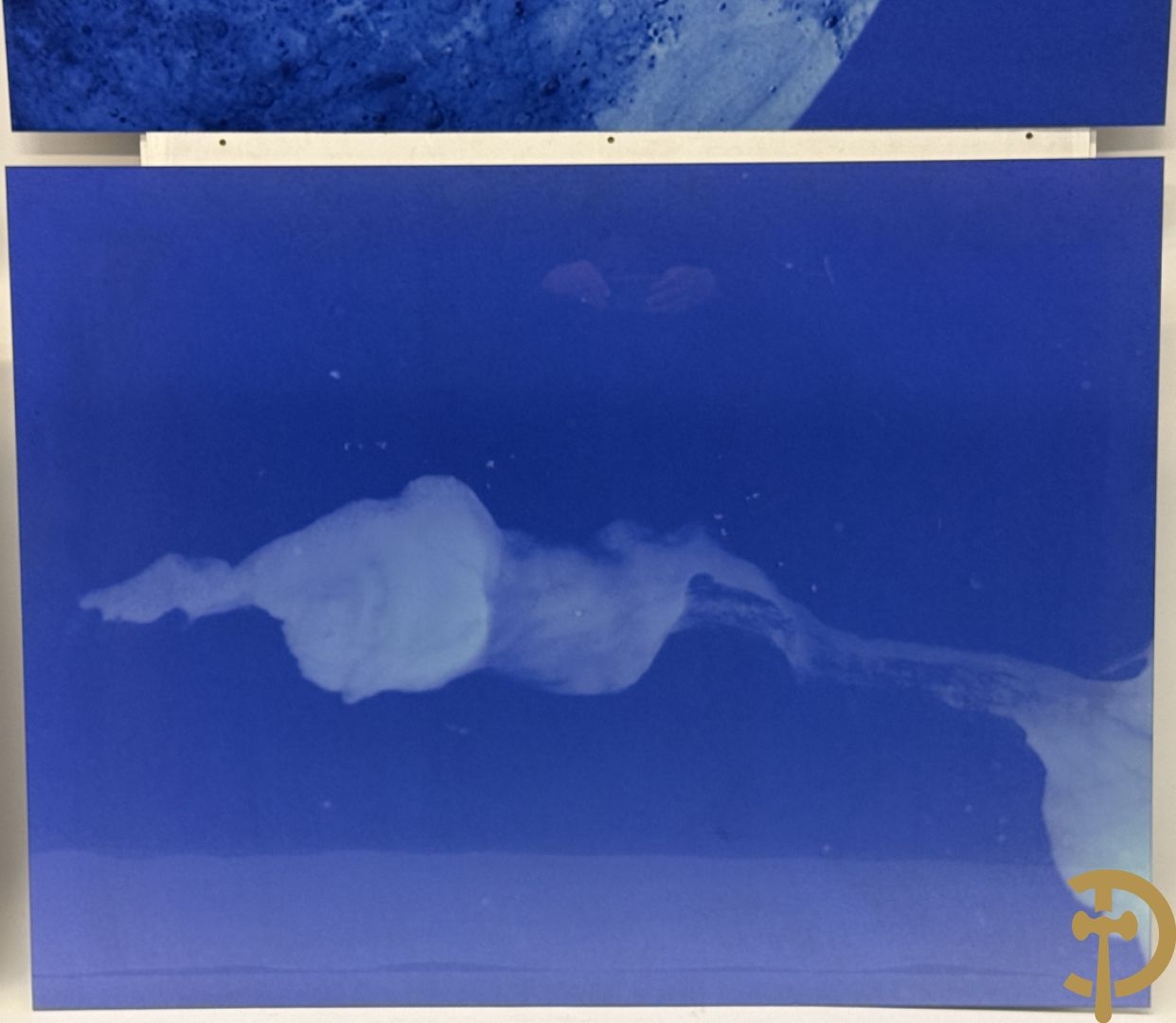 Artwork by Koen Vanmechelen, Fertility, Made of Lambda Print On Metallic Paper