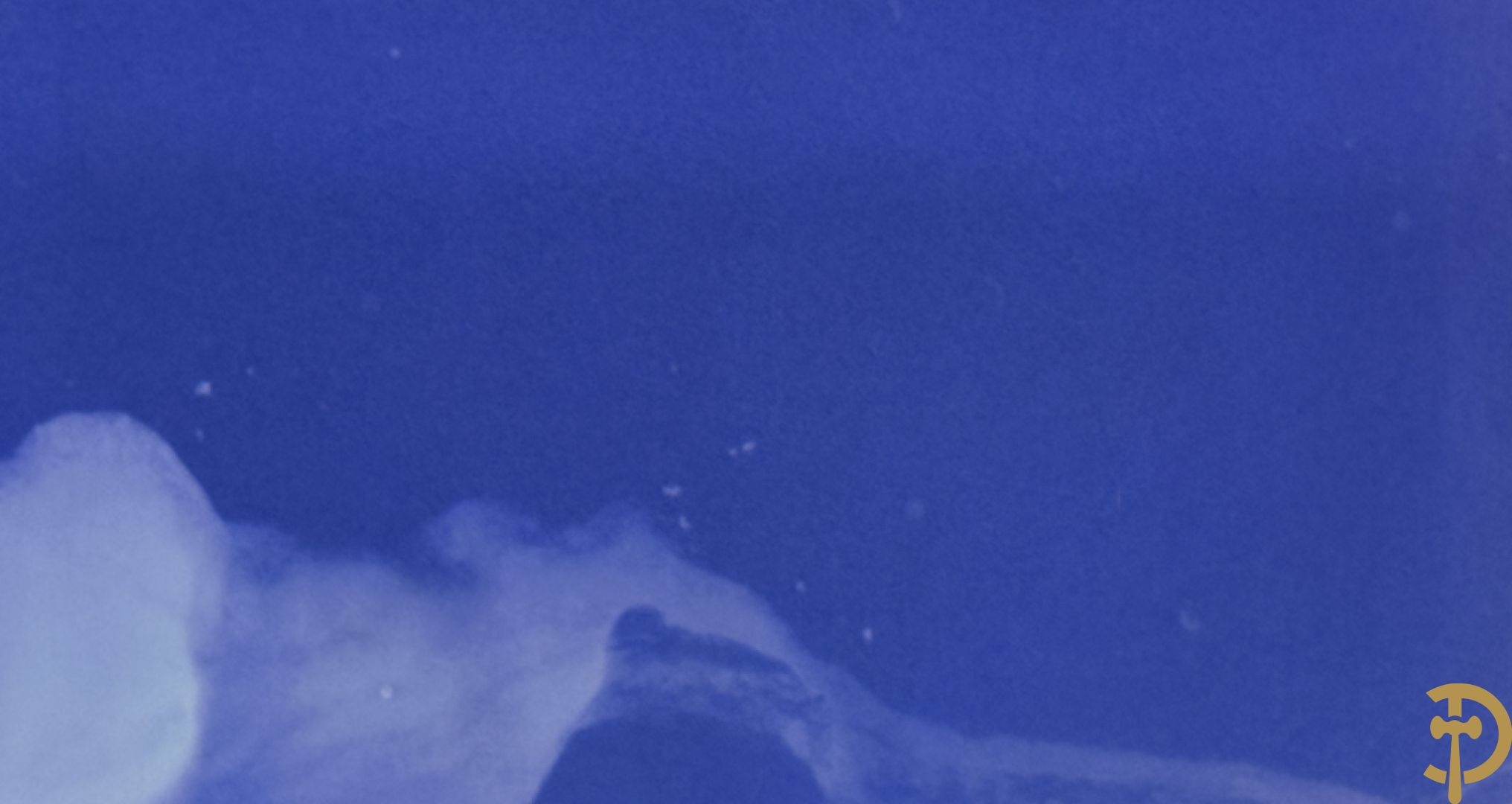 Artwork by Koen Vanmechelen, Fertility, Made of Lambda Print On Metallic Paper