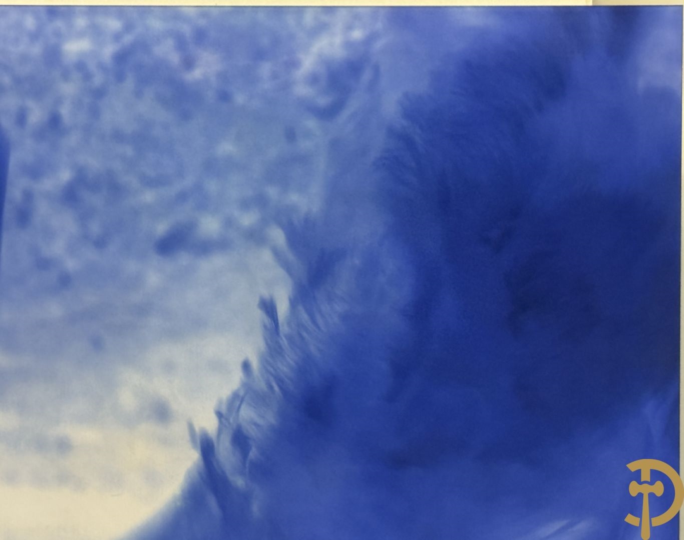 Artwork by Koen Vanmechelen, Fertility, Made of Lambda Print On Metallic Paper