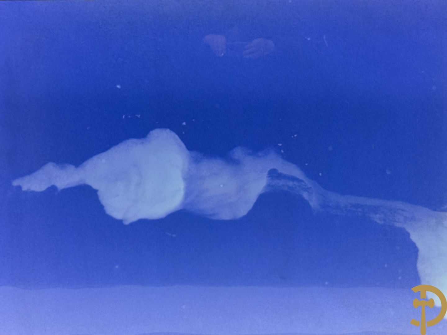 Artwork by Koen Vanmechelen, Fertility, Made of Lambda Print On Metallic Paper