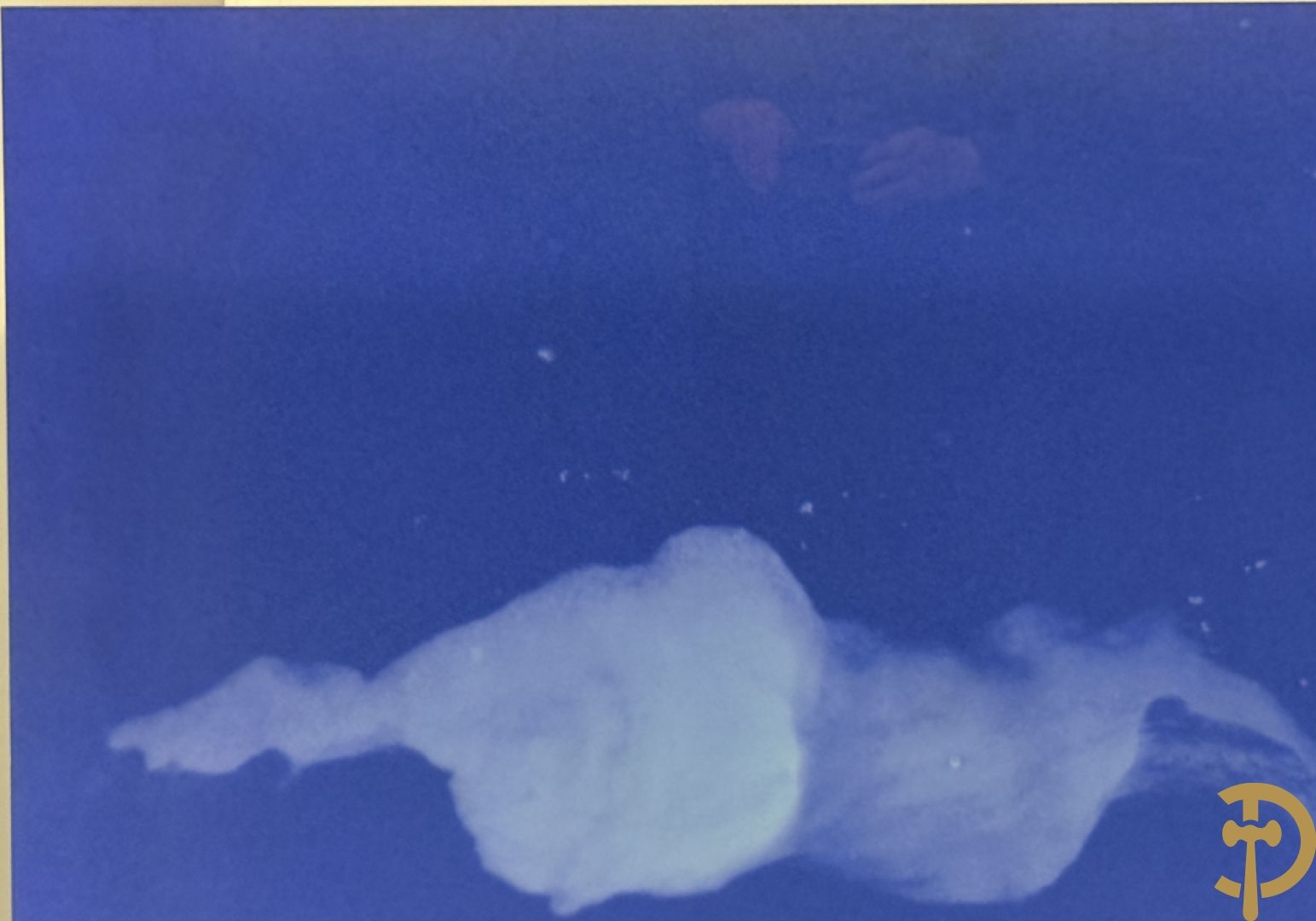 Artwork by Koen Vanmechelen, Fertility, Made of Lambda Print On Metallic Paper