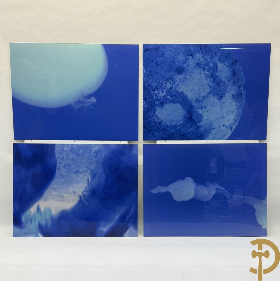 Artwork by Koen Vanmechelen, Fertility, Made of Lambda Print On Metallic Paper