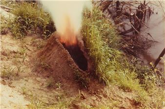 Sea Garden - National Museum of Contemporary Art Αthens (EMST)