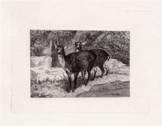 Roebucks - Auguste Lançon