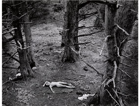 Woman and Dog in Forest - Wynn Bullock