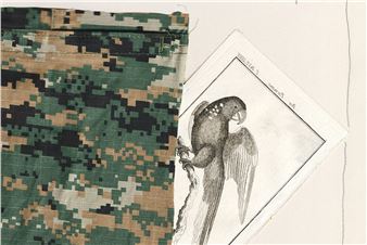 Zechner & Serrano. Camuflajes 